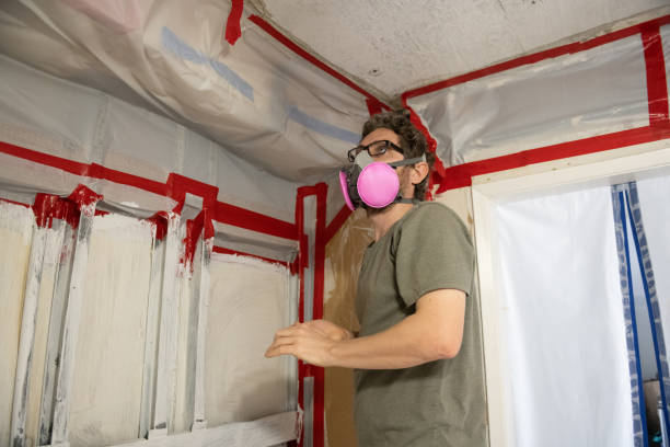 Best Emergency Mold Remediation  in Walnut Cove, NC
