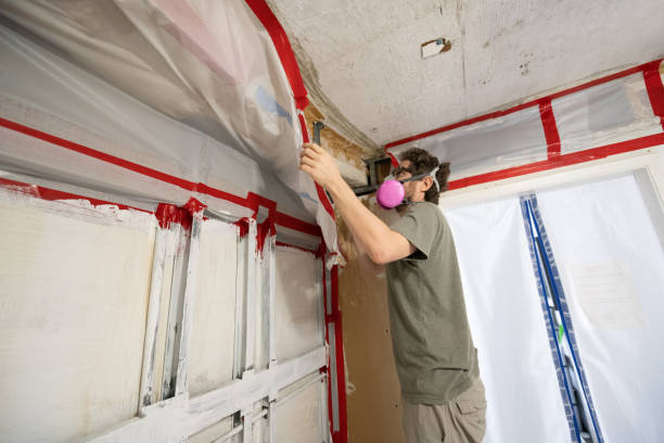 Best Post-Remediation Verification Testing  in Walnut Cove, NC