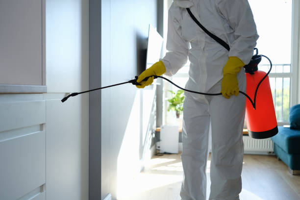 Best Forensic Mold Investigation  in Walnut Cove, NC