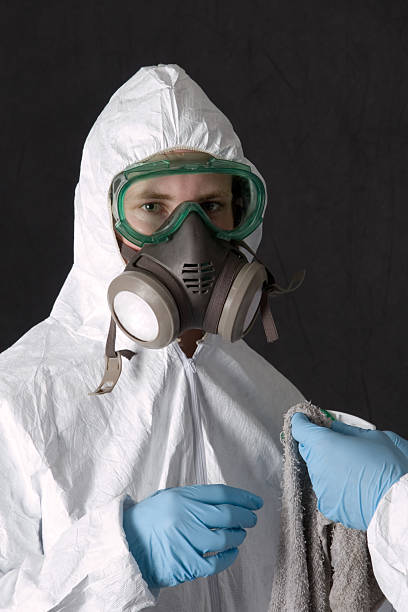 Best Crawl Space Mold Remediation  in Walnut Cove, NC